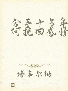 分手十多年的如何挽回感情