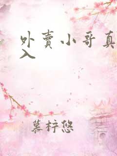 外卖小哥真实收入