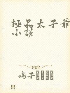 极品太子爷在线小说