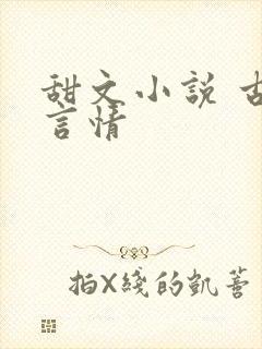 甜文小说 古代言情