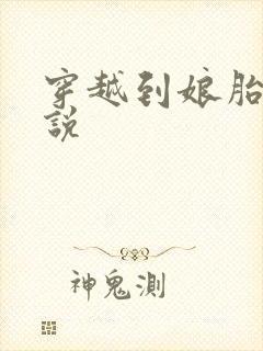 穿越到娘胎的小说