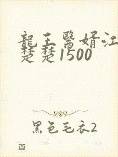 龙王医婿江辰唐楚楚1500