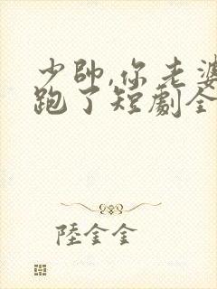 少帅,你老婆又跑了短剧全集