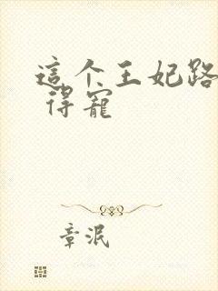 这个王妃路子野 得宠