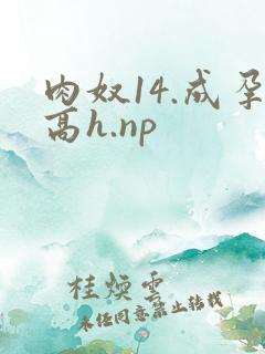 肉奴14.成孕高h.np