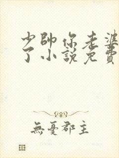 少帅你老婆又跑了小说免费下载