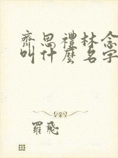 齐思礼林念小说叫什么名字