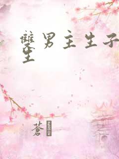双男主生子文纯生
