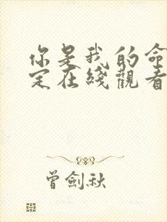 你是我的命中注定在线观看