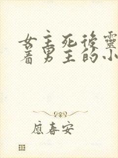 女主死后灵魂跟着男主的小说