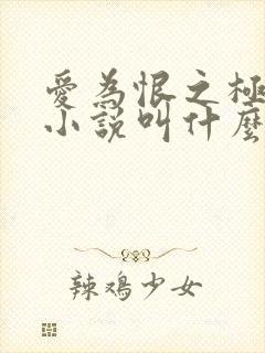 爱为恨之极原著小说叫什么名字