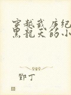 穿越武庚纪夺舍黑龙天的小说