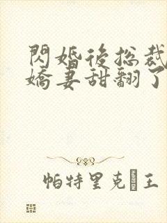 闪婚后总裁农村娇妻甜翻了