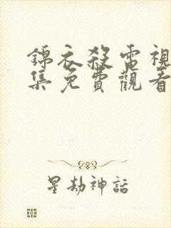 锦衣杀电视剧全集免费观看