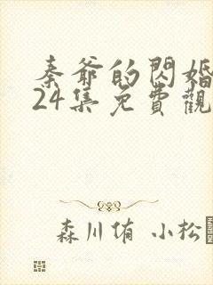 秦爷的闪婚短剧24集免费观看