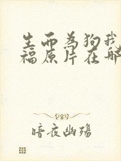 生而为狗我很幸福原片在哪里看