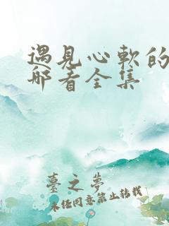 遇见心软的神在哪看全集