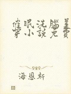 催眠洗脑美人快穿小说免费阅读