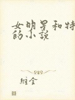 女明星和特种兵的小说