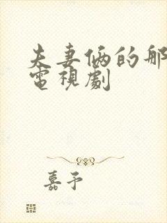 夫妻俩的那些事电视剧