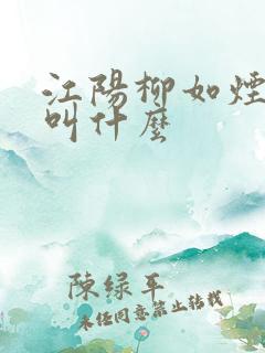 江阳柳如烟短剧叫什么