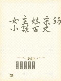 女主姓宋的重生小说古文