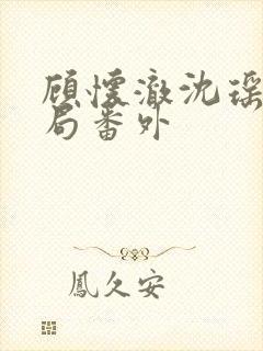 顾怀澈沈瑶大结局番外