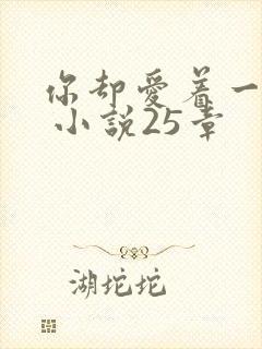 你却爱着一个他 小说25章