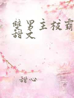 双男主校霸校园甜文