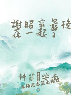 谢昭宁最后和谁在一起了