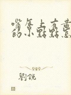 嘴唇上有黄白色的小点点怎么回事