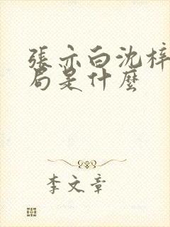 张亦白沈梓墨结局是什么