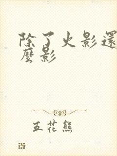 除了火影还有什么影
