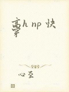 高h np 快穿