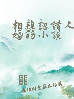 相亲认错人后闪婚的小说