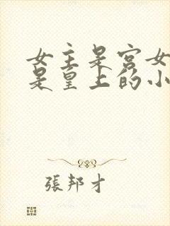 女主是宫女男主是皇上的小说