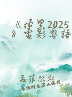 《扫黑2025》电影粤语在线观看