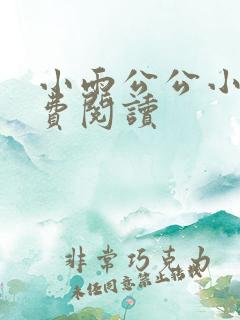 小雨公公小说免费阅读