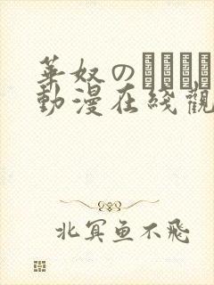 华奴のノーレン动漫在线观看免费