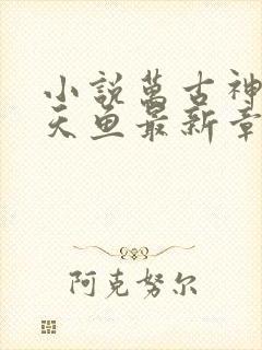 小说万古神帝飞天鱼最新章节目录