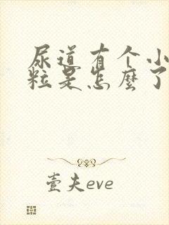 尿道有个小红肉粒是怎么了