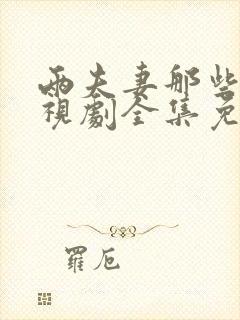 两夫妻那些事电视剧全集免费观看