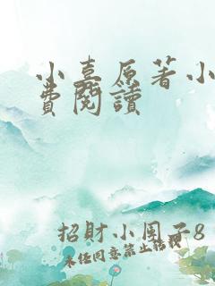 小喜原著小说免费阅读