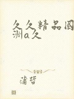 久久精品国产亚洲a久