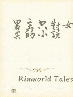 男主只对女主温柔的小说