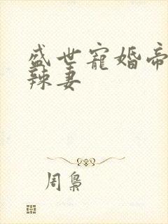 盛世宠婚帝少小辣妻