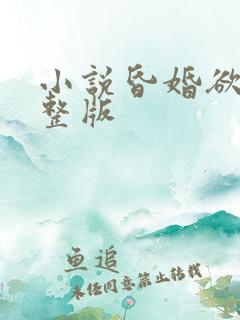 小说昏婚欲睡完整版