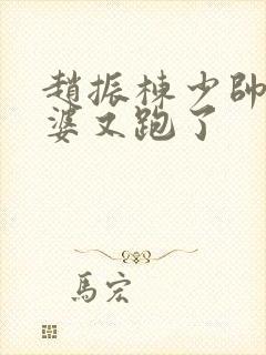 赵振栋少帅你老婆又跑了