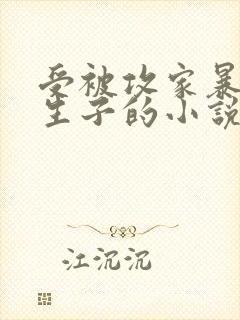 受被攻家暴囚禁生子的小说