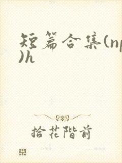 短篇合集(np)h